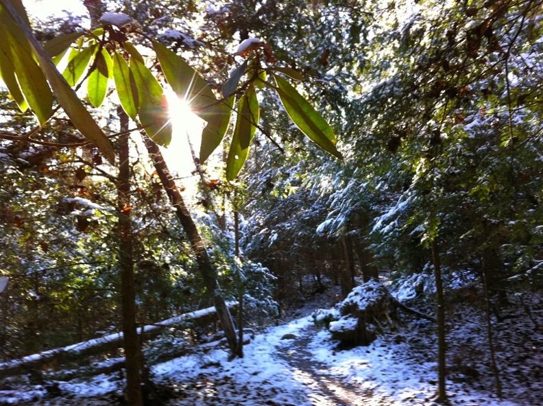 Winter on the Sheltowee Trace - 3.jpg